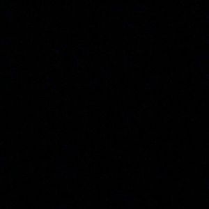 Meet your Posher, Raven